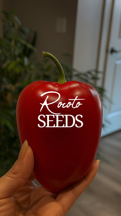 Rocoto Seeds